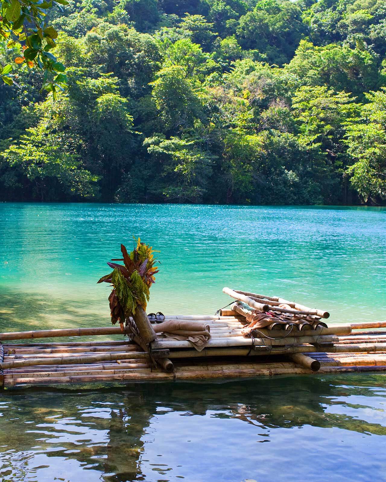 autor projektu Alicja Bocheńska jamaicayesi